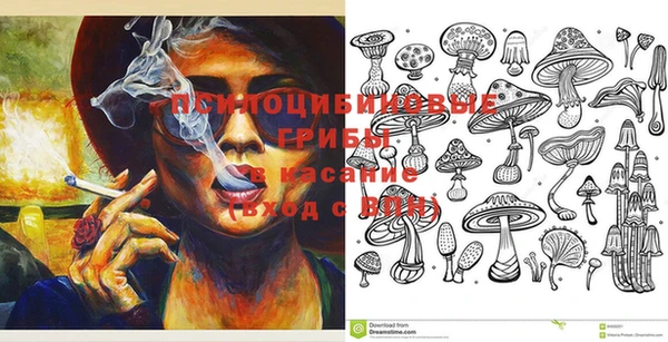 сатива Горняк