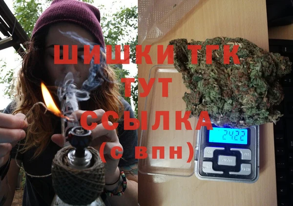 сатива Горняк