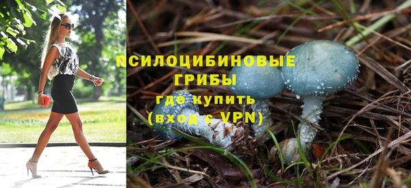 сатива Горняк