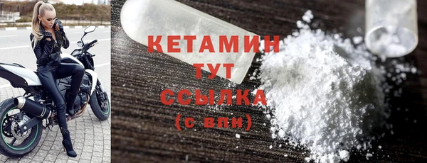 сатива Горняк