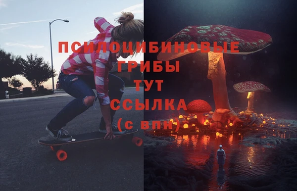 сатива Горняк