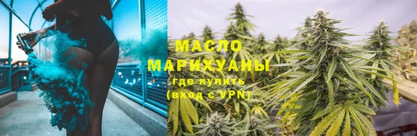 сатива Горняк
