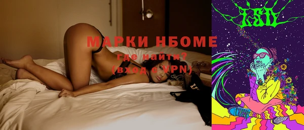 сатива Горняк